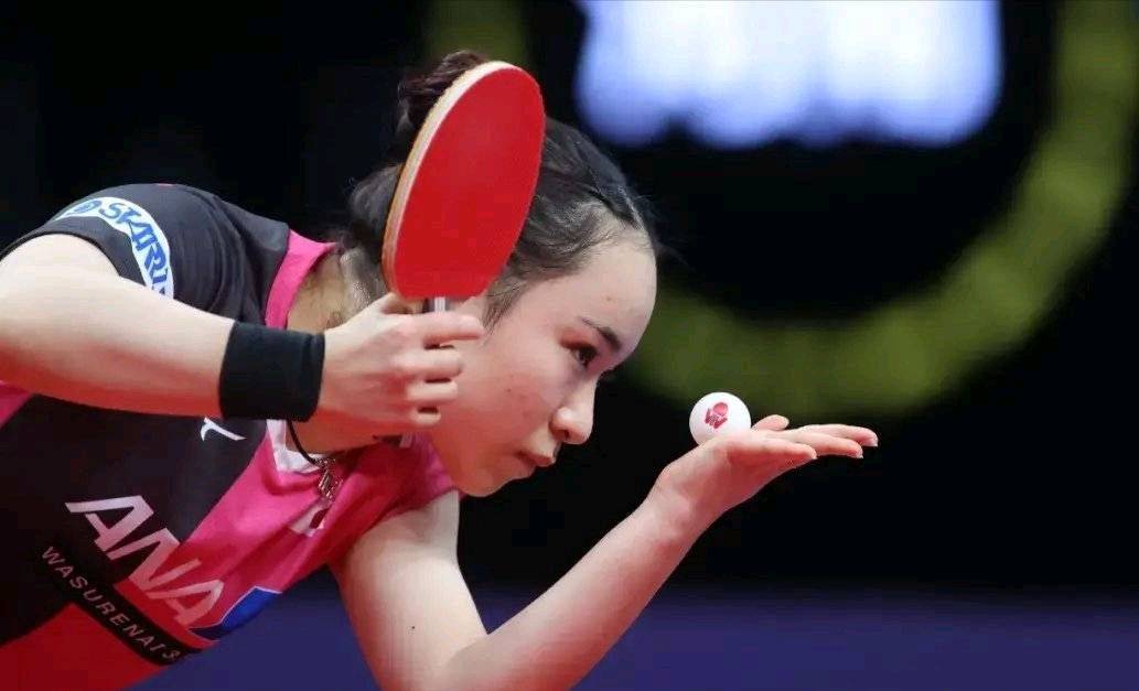 势必会进行 势必会进行